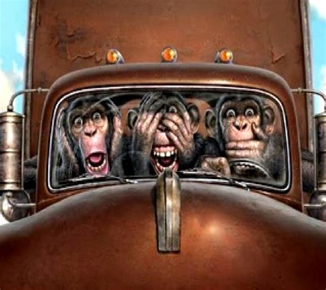 Les 242 meilleures images du tableau les 3 singes sur ...