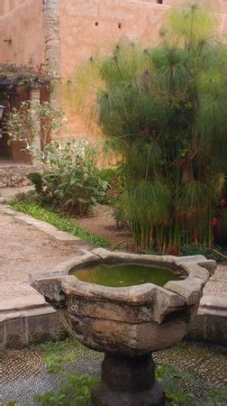 Les Jardins Exotiques de Bouknadel  Rabat    All You Need ...