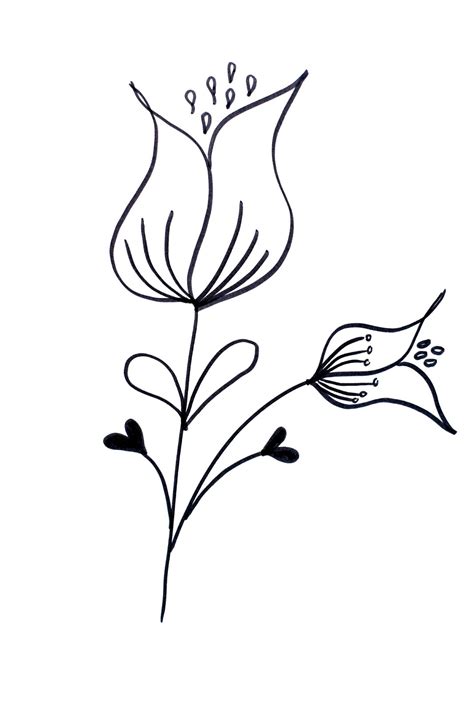 Lettering  Line drawing  Motivation: How to draw flowers 39