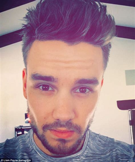 Liam Payne s Instagram selfie causes influx of concerned ...