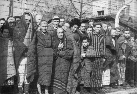 Liberated prisoners:  Auschwitz Birkenau State Museum ...