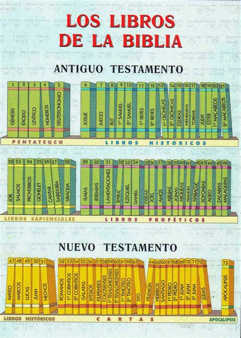 Libros De La Biblia Catolica Pictures to Pin on Pinterest ...