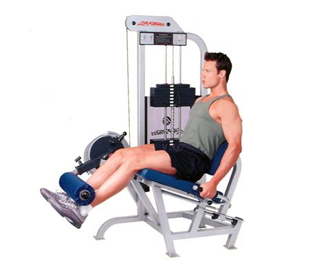 Life Fitness Pro 1 Leg Extension | Used Gym & Fitness ...