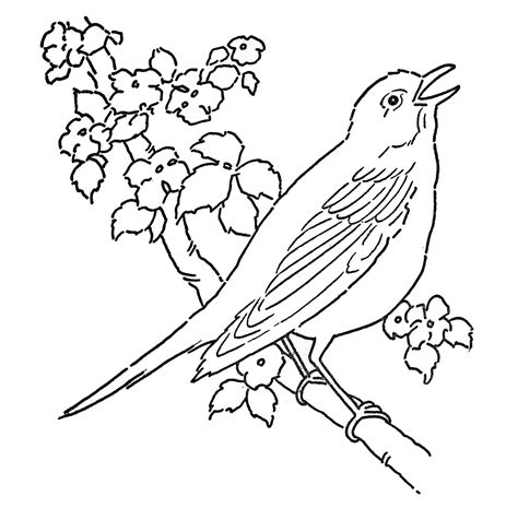 Line Art   Coloring Page   Bird with Blossoms   The ...