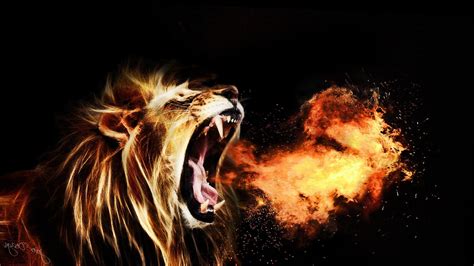 Lion Hd Wallpapers Collection For Free Download