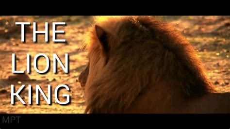 Lion King 2019   Смотреть фильм lion 2018 в хорошем качестве
