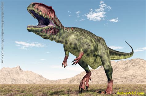 List Of Dinosaurs – Dinosaur Names With Pictures & Information