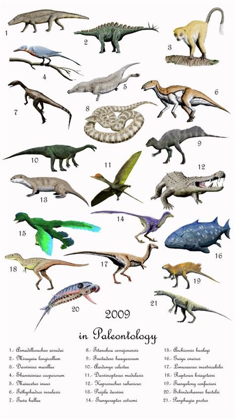 list of dinosaurs with pictures   Video Search Engine at ...