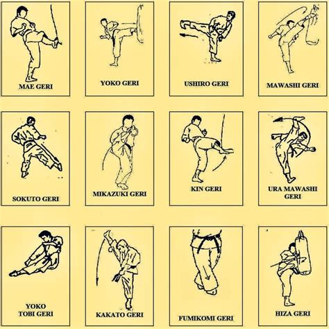 List of Karate Kicks with Instructions – Black Belt Wiki ...