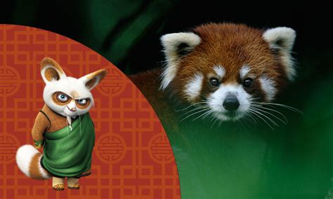 List Of Kung Fu Panda Characters Wikipedia | Autos Post