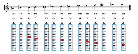 List of Synonyms and Antonyms of the Word: melodica notes