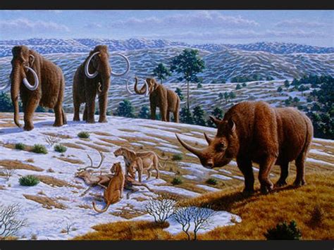Lista: Animales prehistóricos increibles
