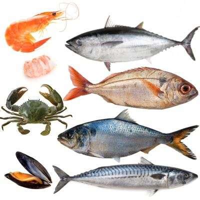Lista de pescados y mariscos por temporada, Calendario de ...