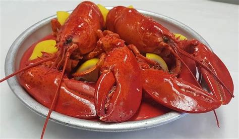 Lobster Haven   Restaurant   North Tampa   Tampa