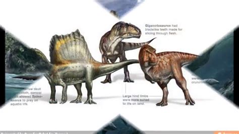 los 10 dinosaurios carnivoros mas grandes   YouTube