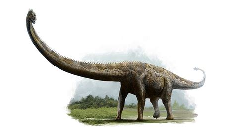 Los 10 dinosaurios mas grandes de la tierra   Listas curiosas