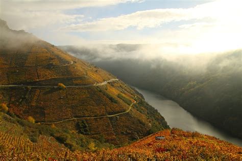 Los 12 paisajes de viñedos más espectaculares de España y ...