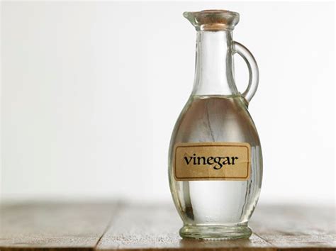 Los 15 usos y beneficios del vinagre blanco – La Neta Noticias
