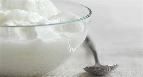 Los 4 mejores yogures probióticos del mercado | 4 Mejores