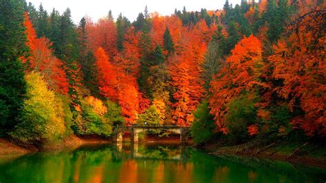 Los 5 mejores parajes naturales para disfrutar del otoño ...