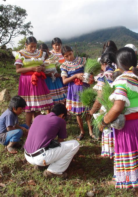 Los 68 grupos étnicos de México, patrimonio intangible de ...