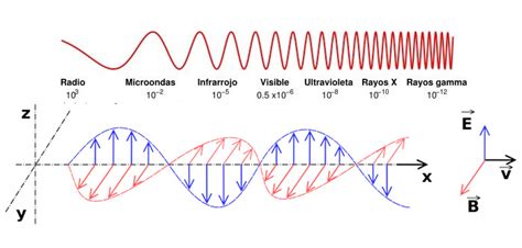 Los 8 tipos de ondas electromagnéticas y sus ...