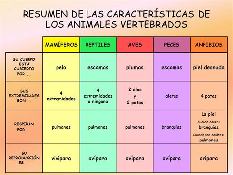 LOS ANIMALES VERTEBRADOS   ppt video online descargar