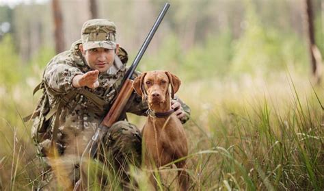 Los cazadores piden que los perros de caza no sean ...