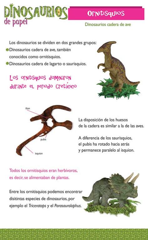 Los Dinosaurios: CLASIFICACION DE LOS DINOSAURIOS