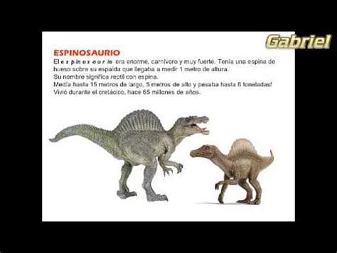 Los dinosaurios | Informacion Especial   YouTube