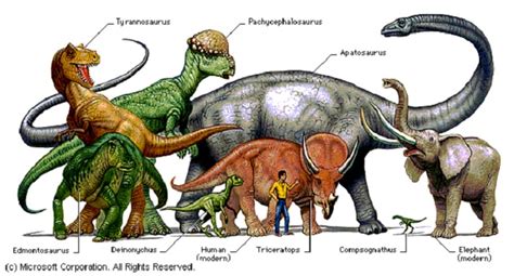 Los dinosaurios – Club Peque Club Peque