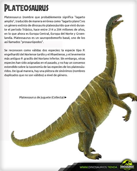 Los dinosaurios y otros reptiles del triásico Vol. 1 ...