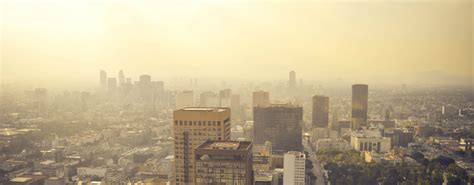 Los efectos de la contaminación atmosférica sobre la salud ...