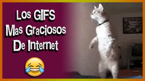 ¡Los GIFS Mas Graciosos De Internet  The Funniest GIFS ...