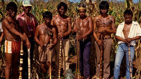 Los indígenas guaraníes de Brasil se suicidan en cifras ...