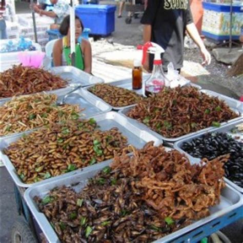 Los insectos...un rico alimentoBlog de viajes ...