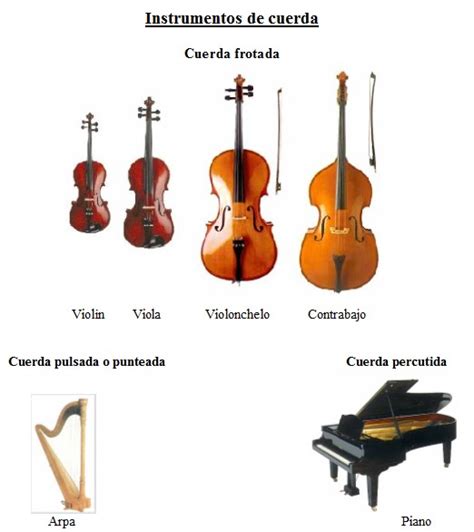 Los Instrumentos De Cuerda De La Orquesta Sinfnica ...