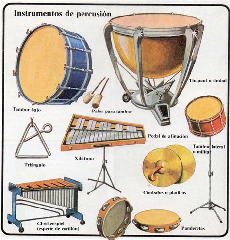 Los instrumentos de percusión en una orquesta son aquellos ...