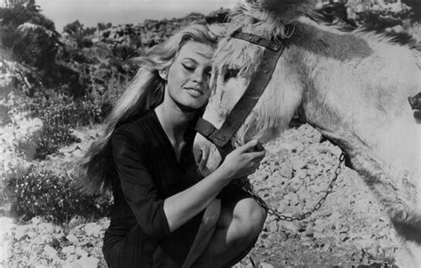 Los joyeros del claro de luna: Pan, toros y Brigitte Bardot