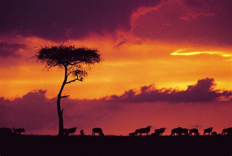 Los mejores paisajes de Africa