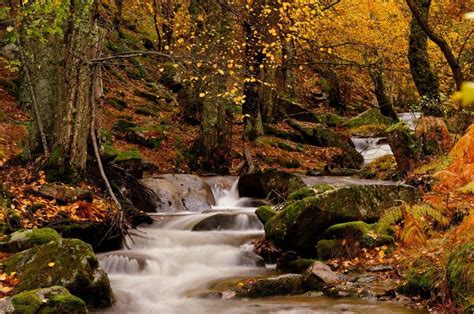 Los mejores paisajes de otoño en España