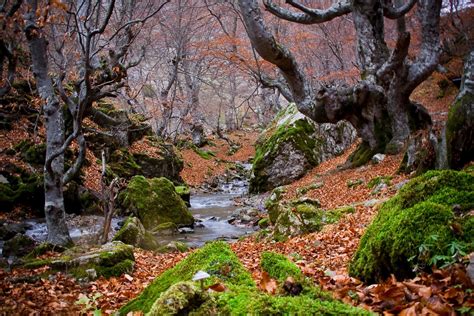 Los mejores paisajes de otoño en España