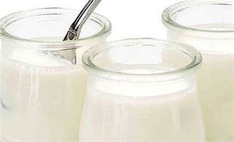 Los mejores yogures del mercado, según la OCU | Ideal