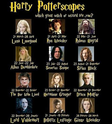 Los Mil Libros: ¿Qué personaje de Harry Potter serías ...