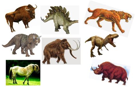 Los Nombres De Animales Prehistoricos | www.imagenesmy.com