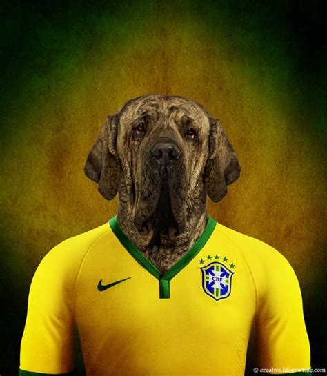 Los perros que retratan a cada selección del Mundial 2014