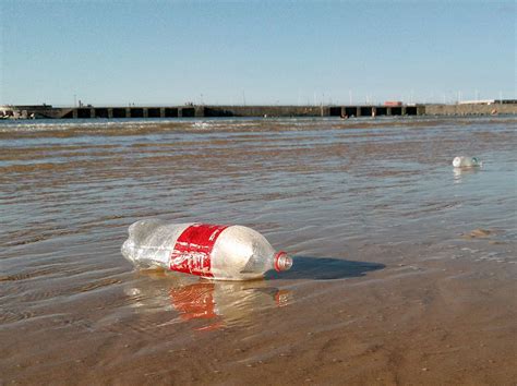 Los plásticos ya son parte del ecosistema marino del ...