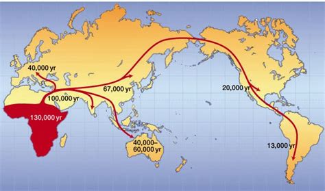 Los primeros pobladores de América llegaron 23 mil años ...