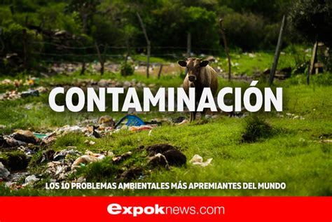 Los Problemas Ambientales Que Enfrenta Mexico | problemas ...