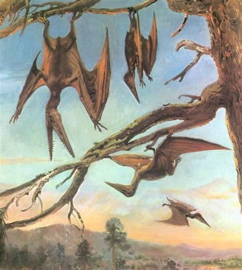 Los pterodáctilos no podían volar | Esencia 21 · Blog